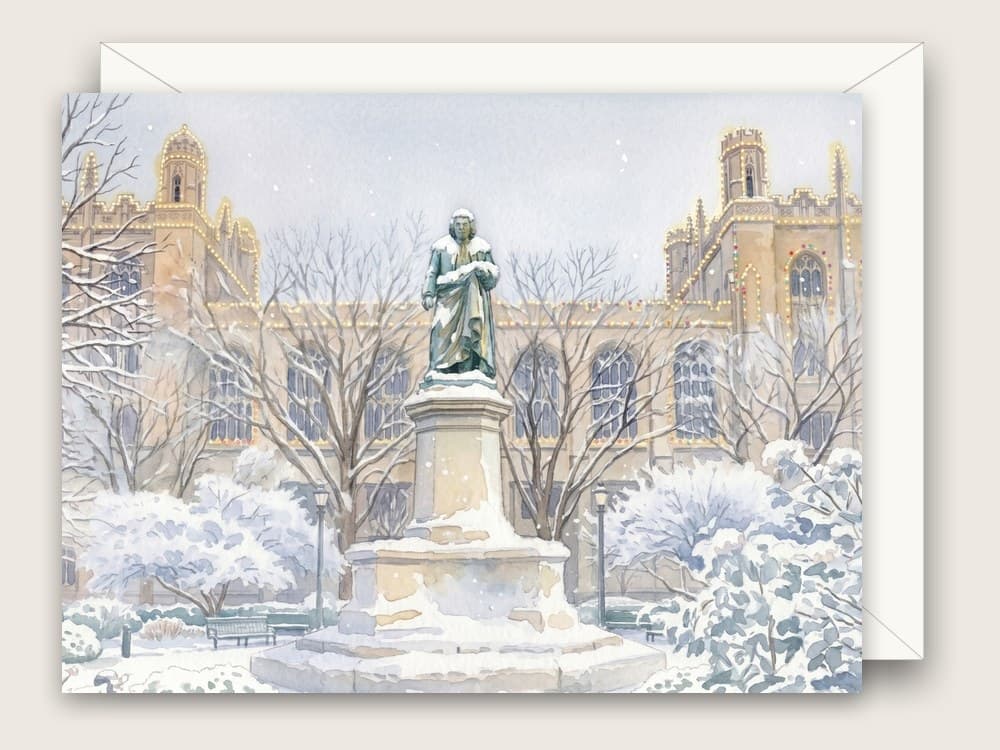 Winter in Chicago