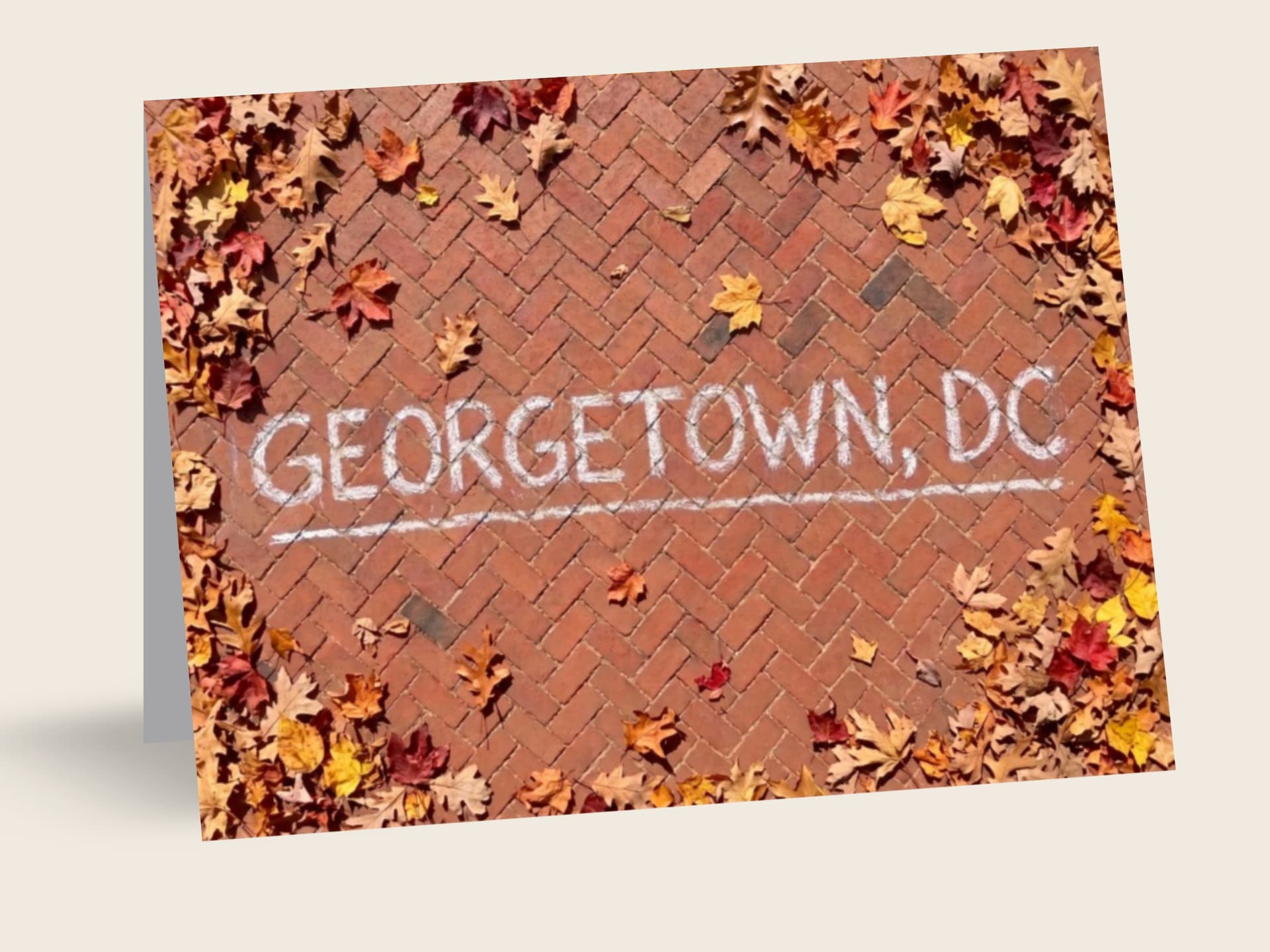 Brick Sidewalks in Autumn — Georgetown, DC