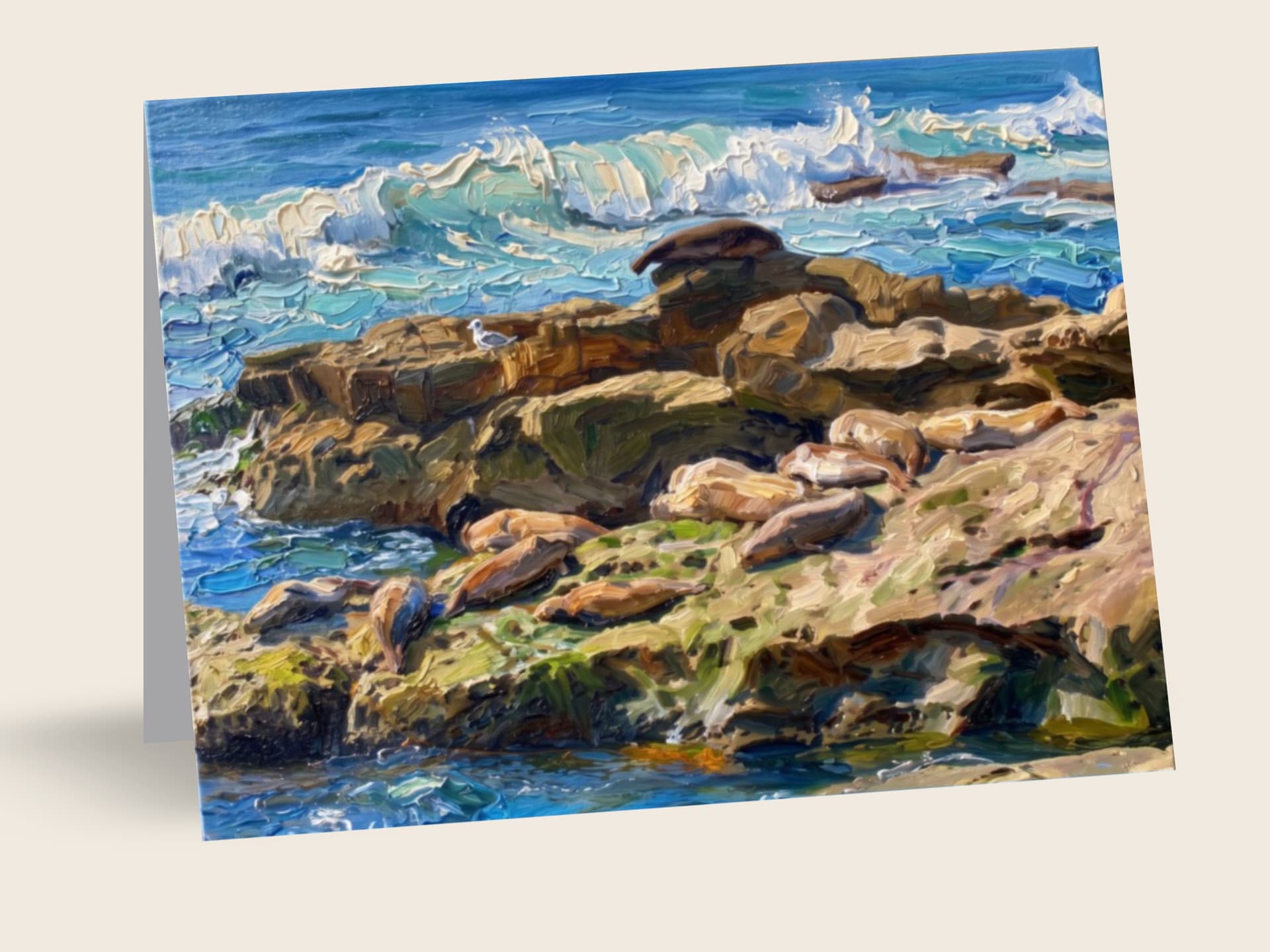 La Jolla Cove — San Diego, CA